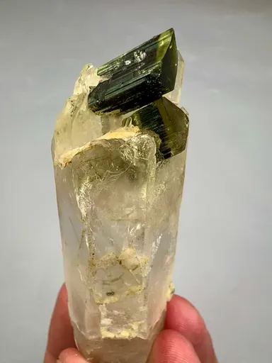 specimen video