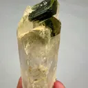 specimen video