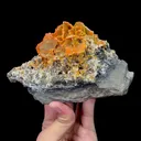 Natural Vanadinite Mineral Specimen,High Quality Specimen,XINJIANG,CHINA(160*57*90mm) - image 4
