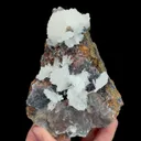 specimen video