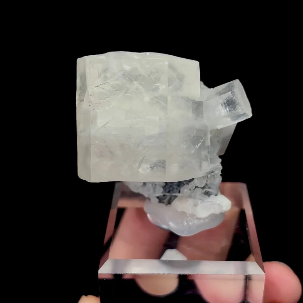 specimen video