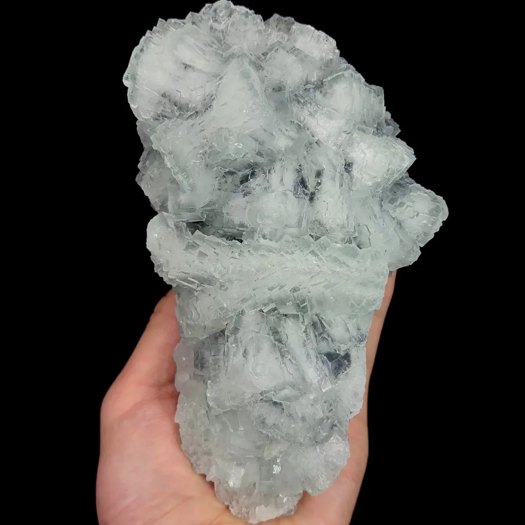 specimen video