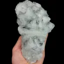 specimen video