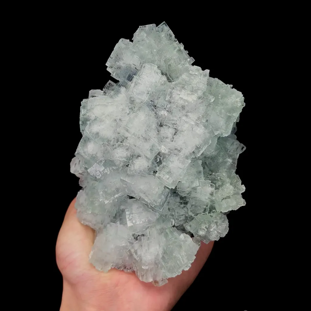 specimen video