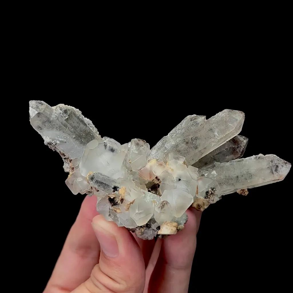 specimen video