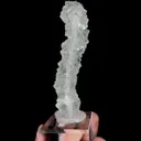 specimen video