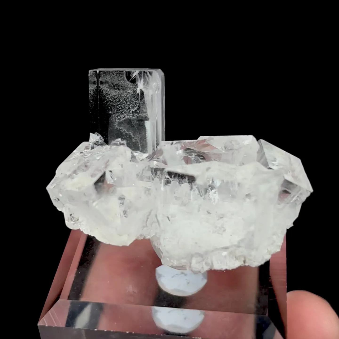 specimen video