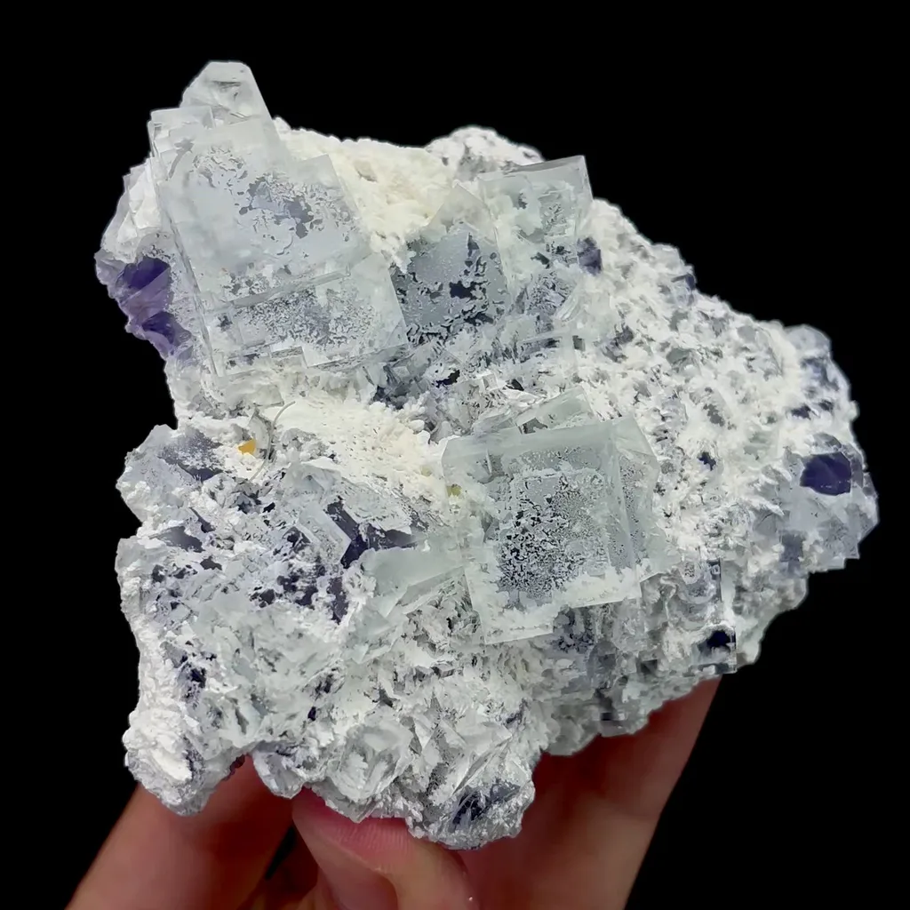 specimen video