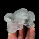 specimen video
