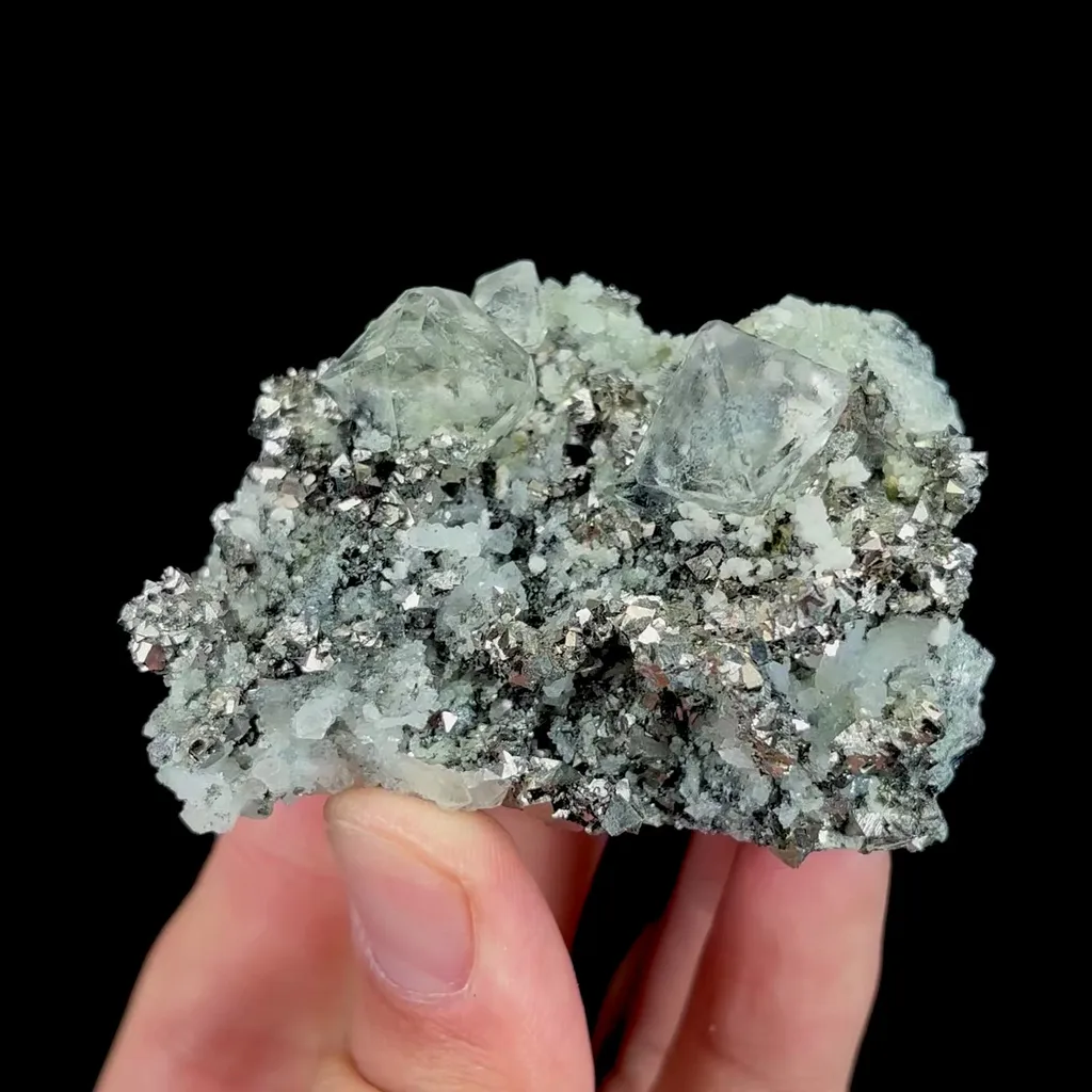 specimen video