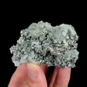 specimen video