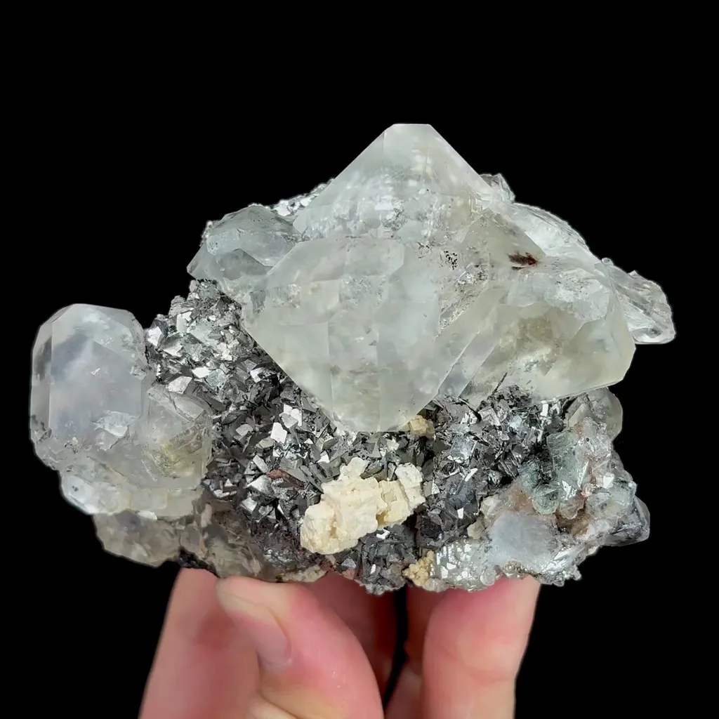 specimen video