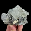 specimen video