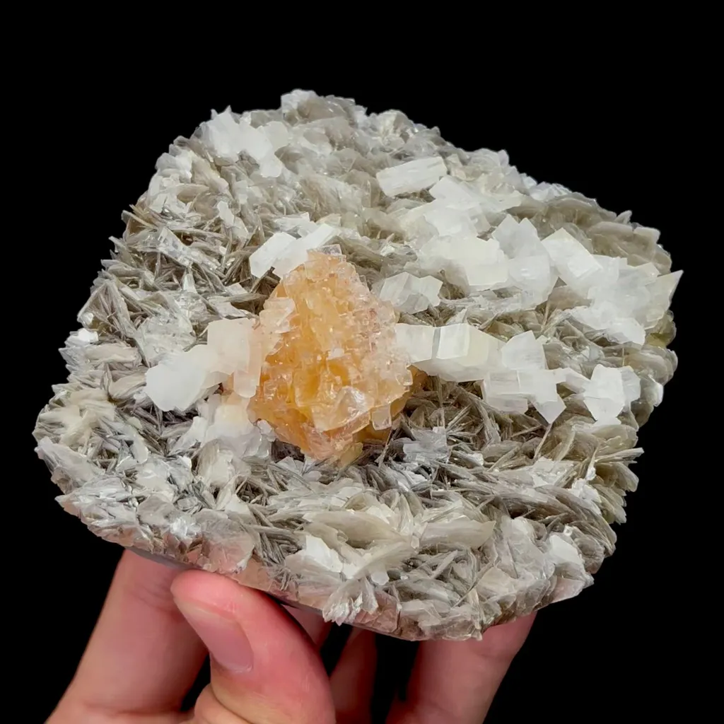 specimen video