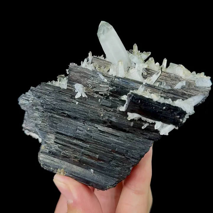 Natural Wolframite and Quartz, Mineral Specimen:Yaogangxian,Hunan (70*100*45MM) - image 3