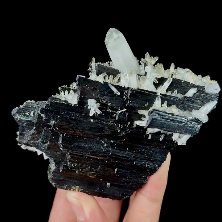Natural Wolframite and Quartz, Mineral Specimen:Yaogangxian,Hunan (70*100*45MM) image