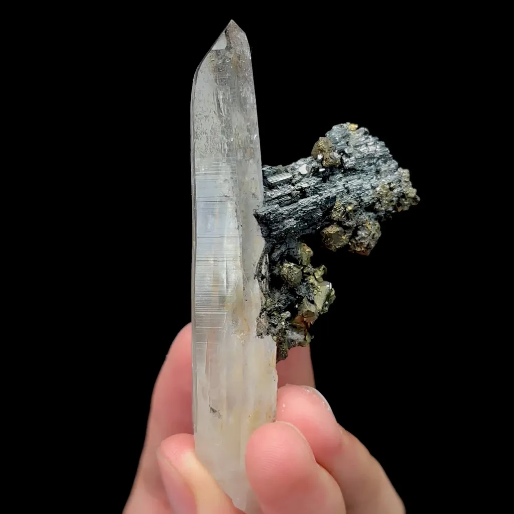 specimen video
