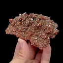Natural Wulfenite Mineral Specimen,High Quality Specimen,XINJIANG,CHINA(90*58*10mm) - image 1