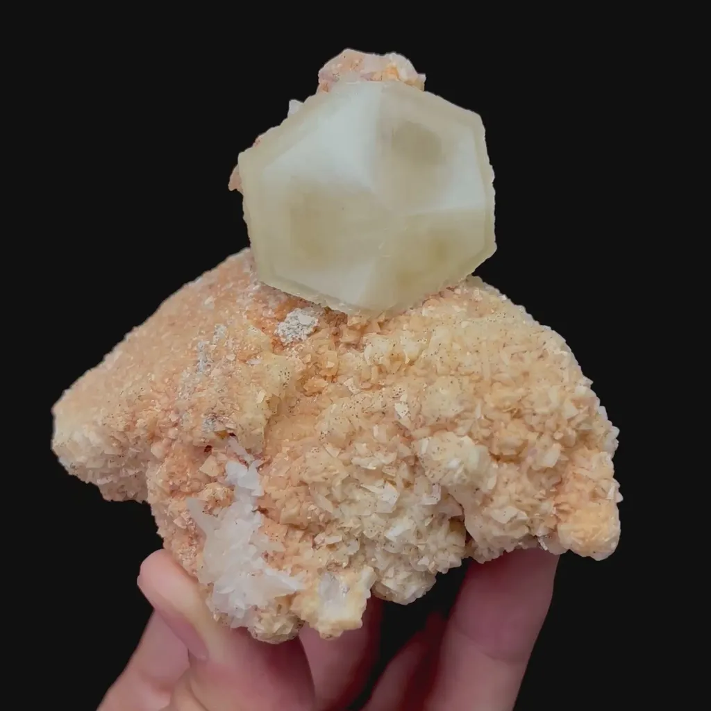 specimen video