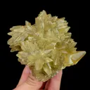 specimen video