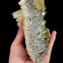 Natural Yellow Calcite and Pyrite, Mineral Specimen:Daye,Hubei (160*110*75MM) - image 4