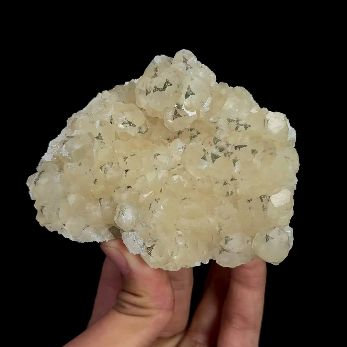 specimen video