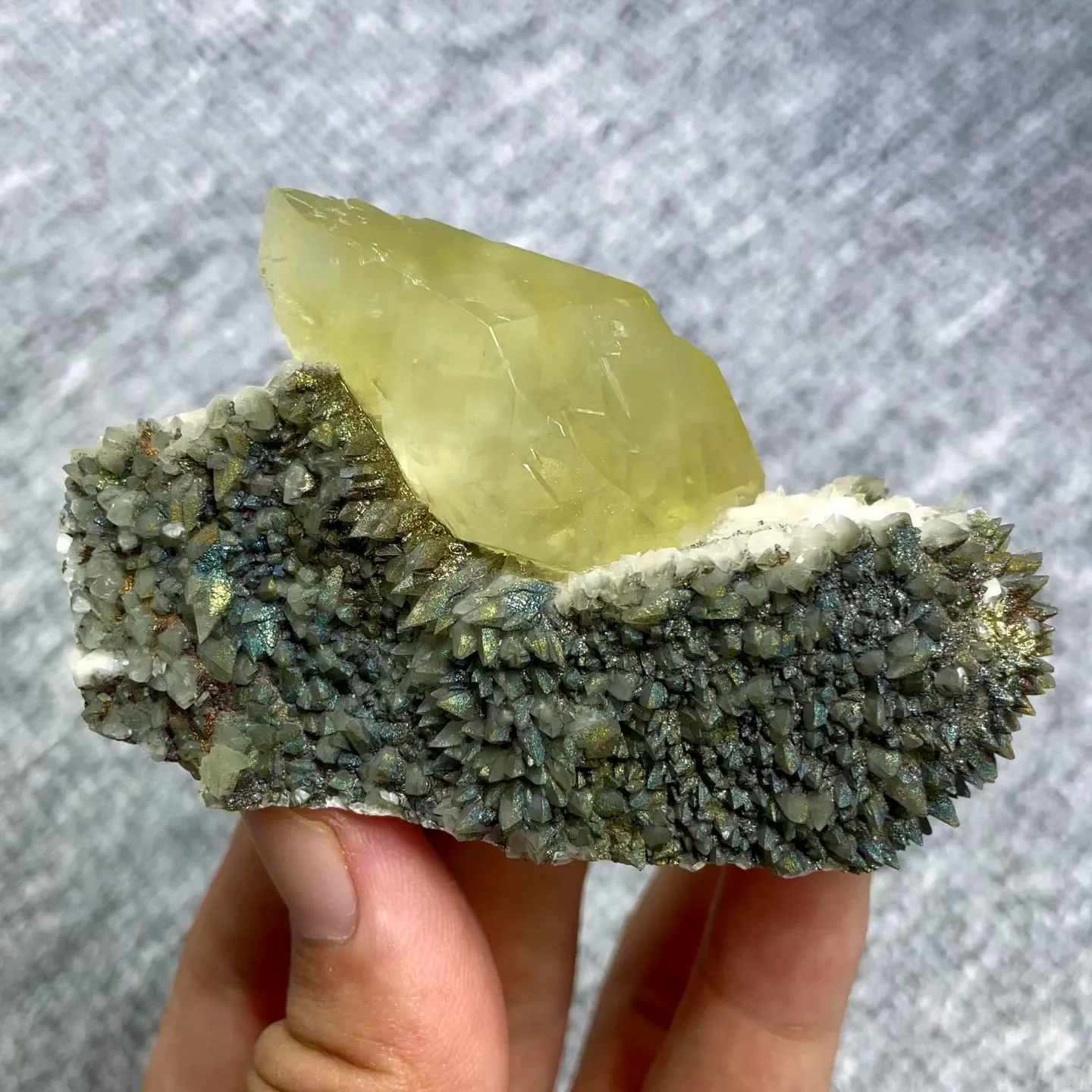 specimen video