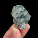 specimen video