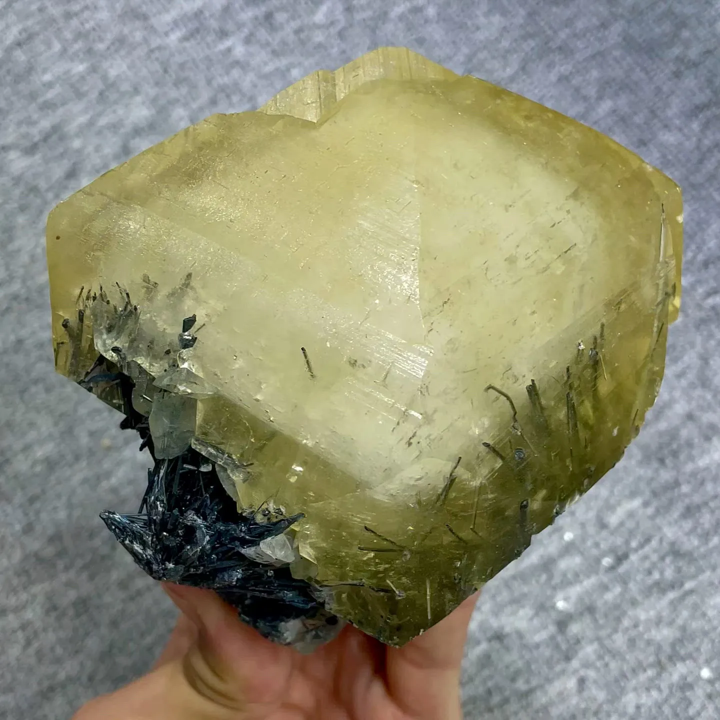 specimen video