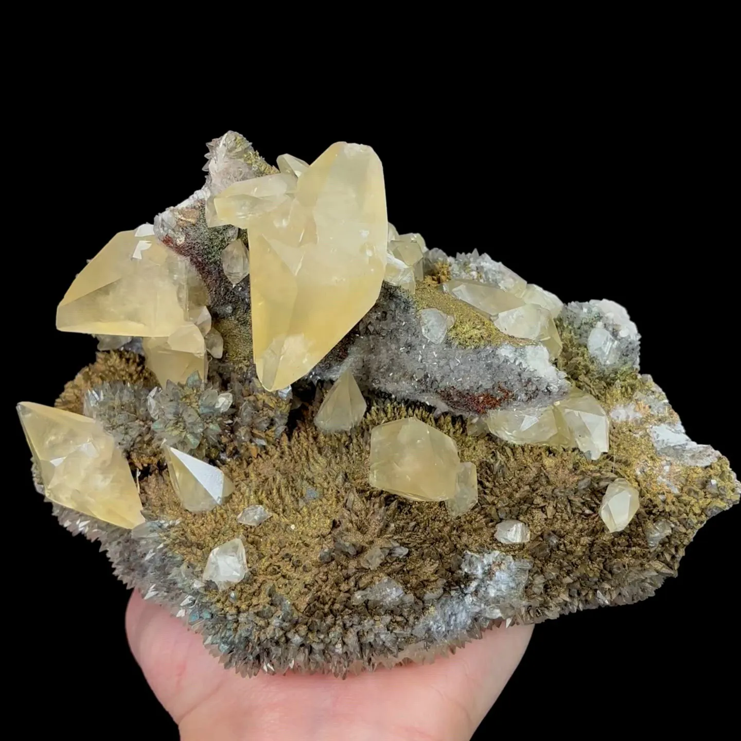 specimen video