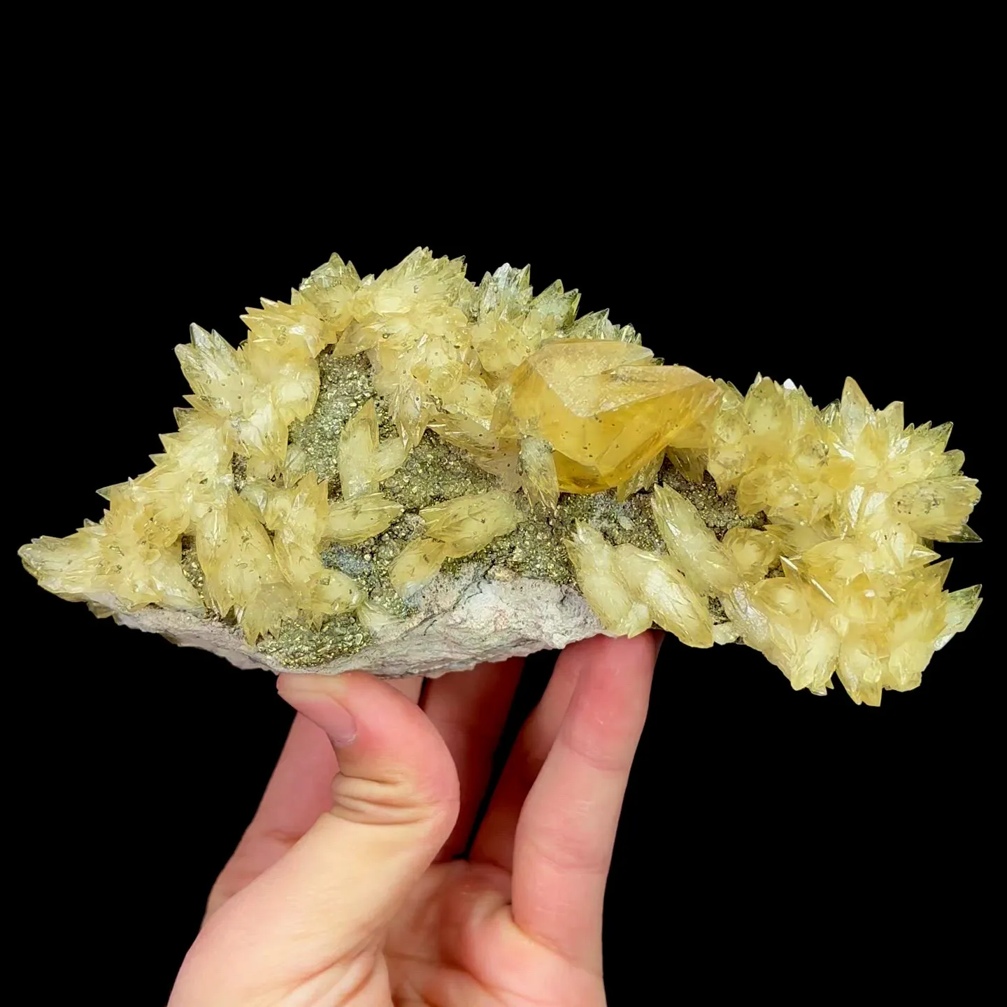 specimen video