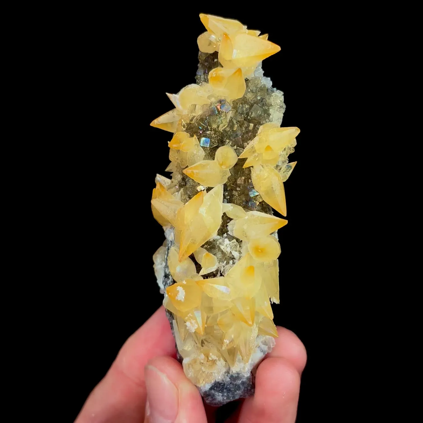 specimen video