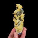 Natural Yellow Calcite, Mineral Specimen:Daye,Hubei (30*100*30MM) - image 4