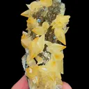 Natural Yellow Calcite, Mineral Specimen:Daye,Hubei (30*100*30MM) - image 2
