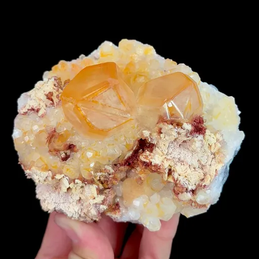 specimen video