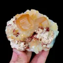 specimen video