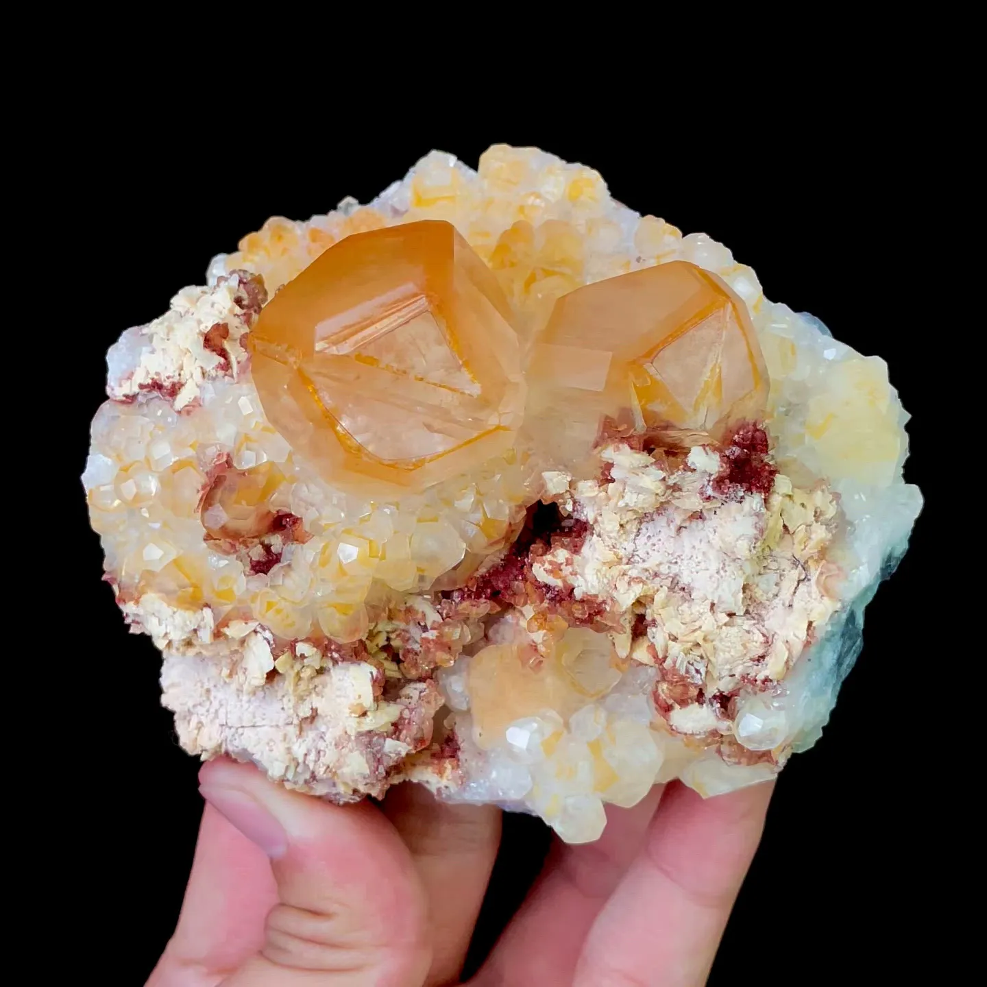 specimen video