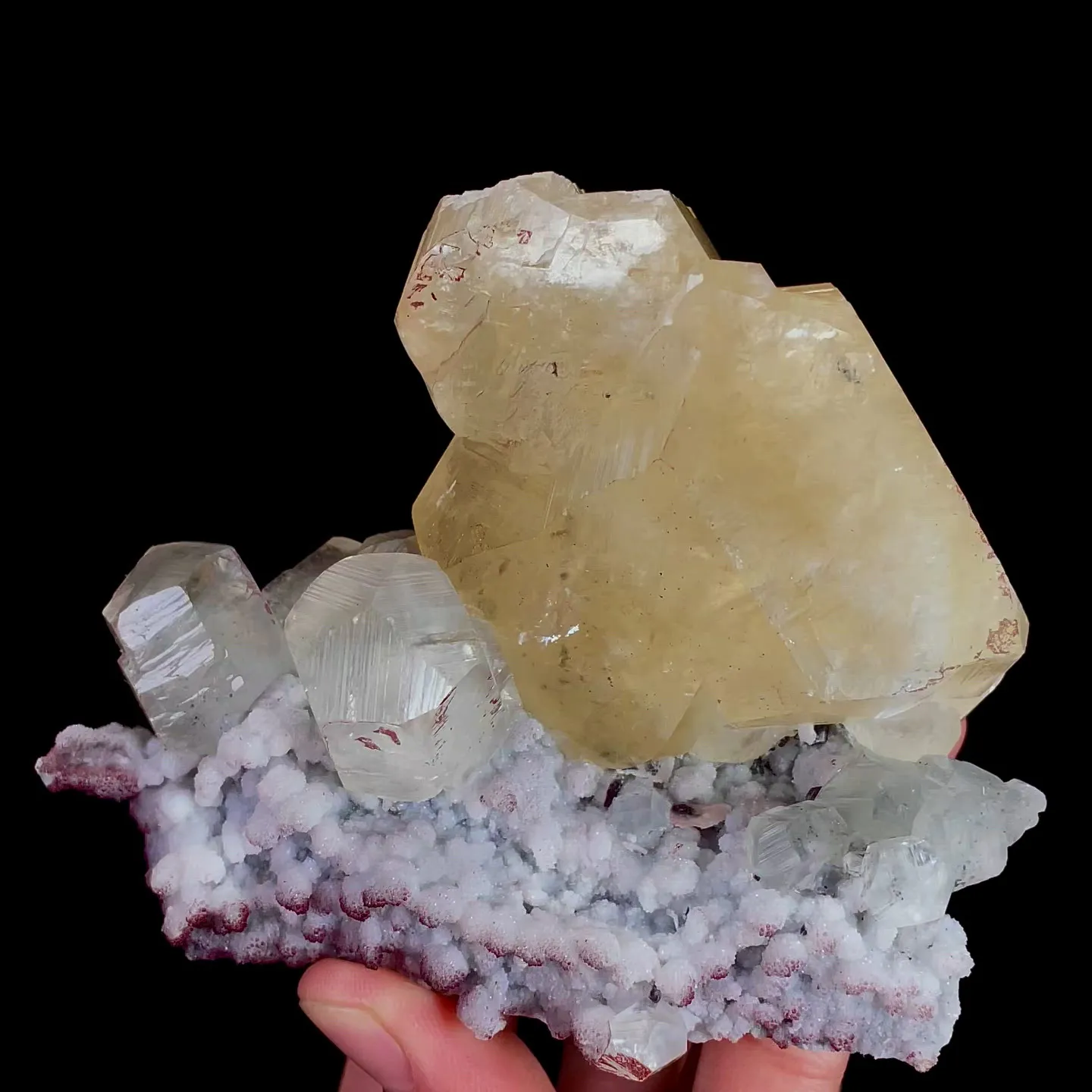 specimen video