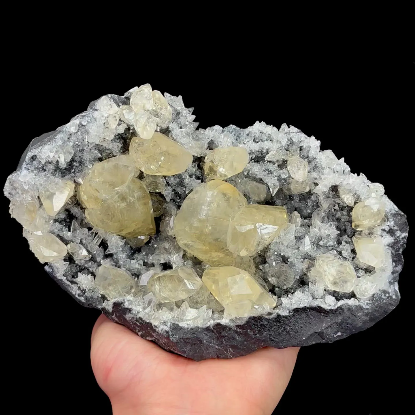 specimen video