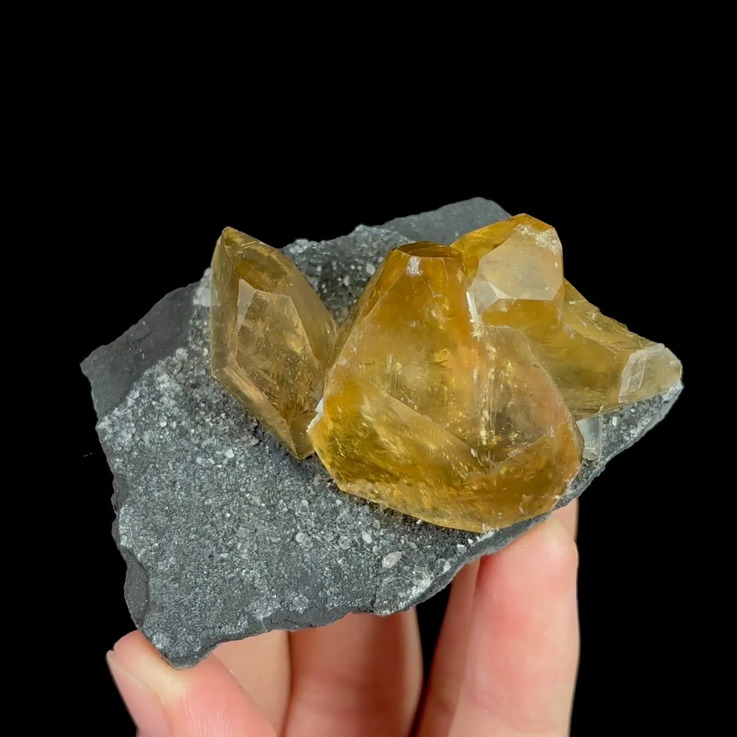 specimen video