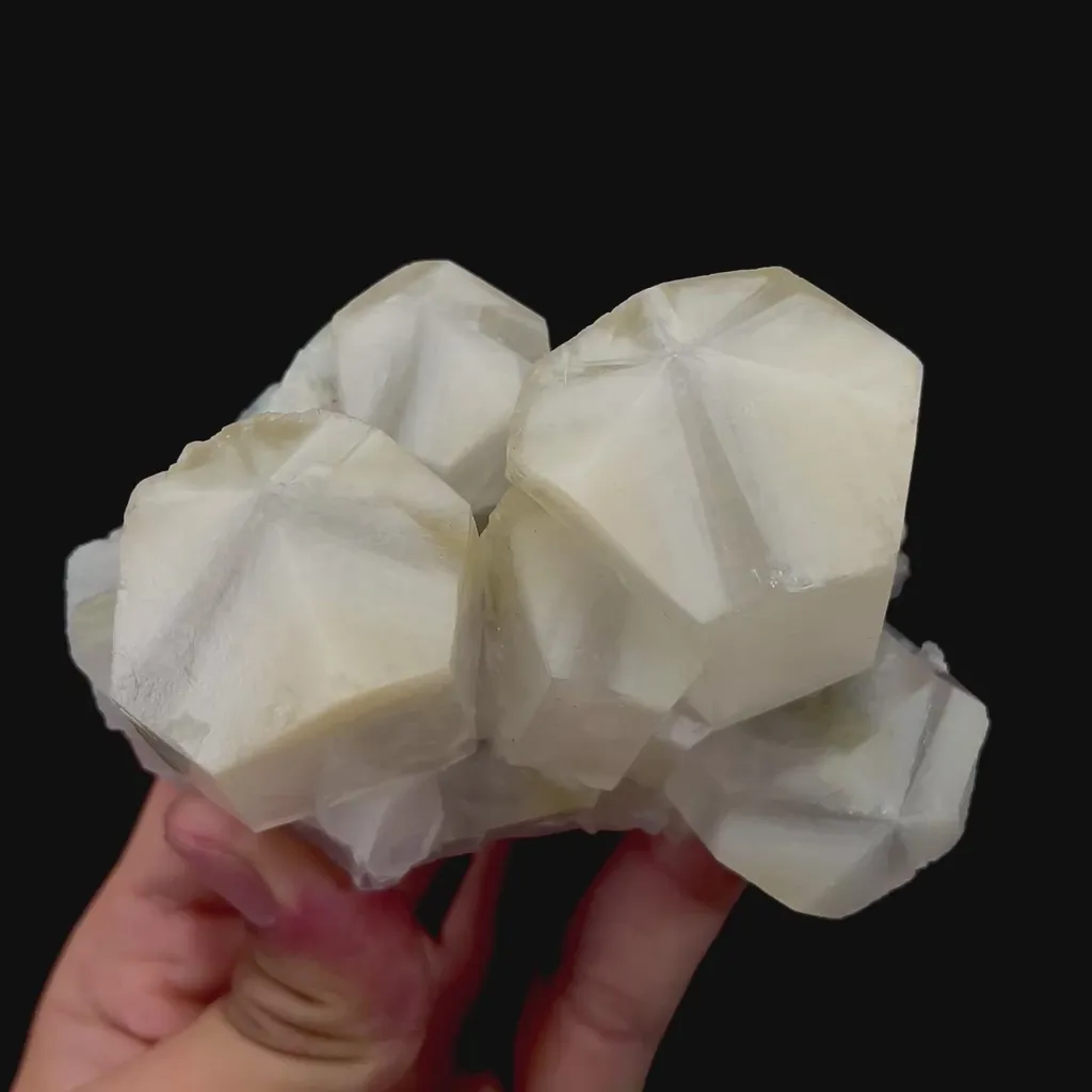 specimen video