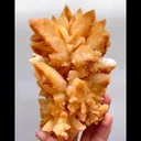 specimen video