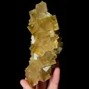 Natural Yellow Cubic Fluorite,Mineral Specimen:Beijing,China (45*140*50MM) - image 5