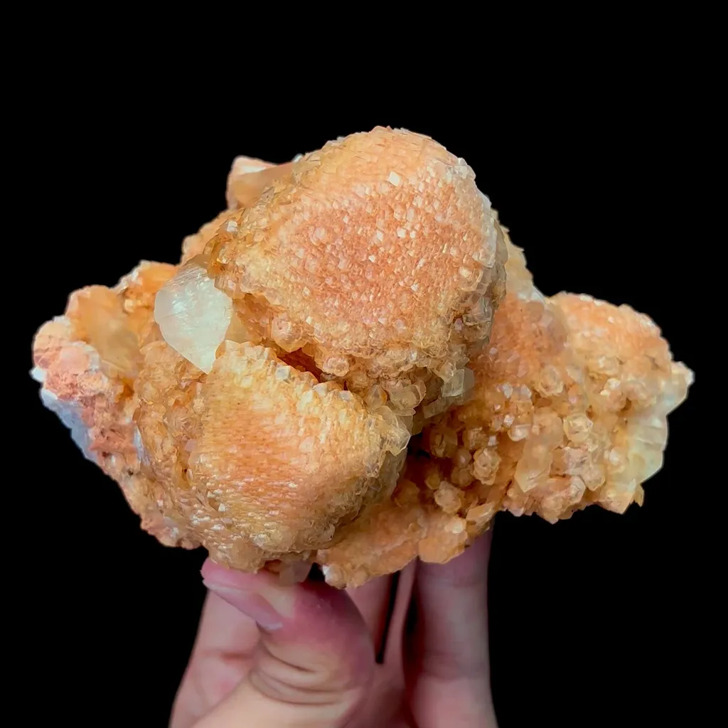 specimen video
