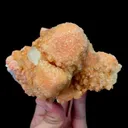 specimen video