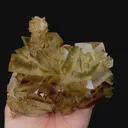 specimen video