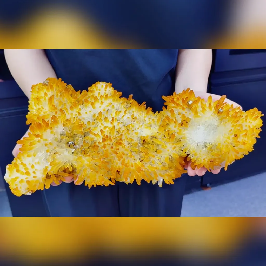 Natural Yellow Floral Calcite Clusters and Globular Pyrite Symbiosis comes from Yunnan 350*180*130MM image