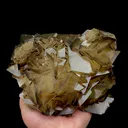 Natural Yellow Floral Calcite Mineral Specimen,High Quality Specimen,DAYE,HUBEI,CHINA(150*120*90mm) - image 4