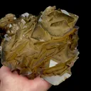 Natural Yellow Floral Calcite Mineral Specimen,High Quality Specimen,DAYE,HUBEI,CHINA(150*120*90mm) - image 3