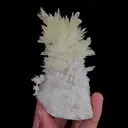Natural Yellow Gypsum, Mineral Specimen:Guizhou,China (60*90*50MM) - image 4